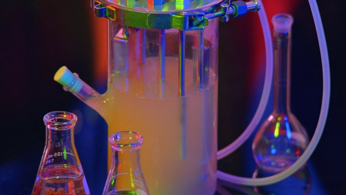 Laboratory glassware and lyophilisation vessels under coloured light — the product side of RF lyophilisation; a Panacea Bio Chem and Bogdan Dicoias brief